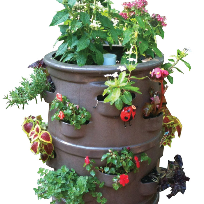 Rooted in Joy: A Guide to Growing Your Own Harvest July 17, 2026