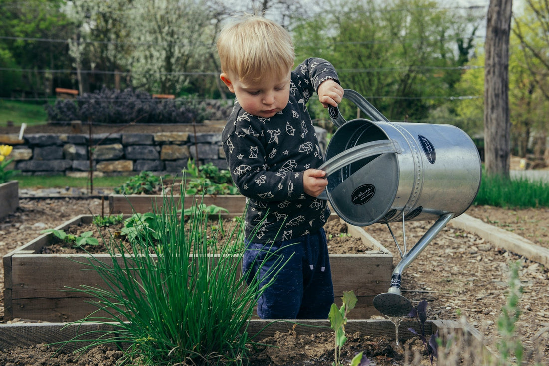 Cultivating Trust: A Guide to Organic Certification in Agriculture