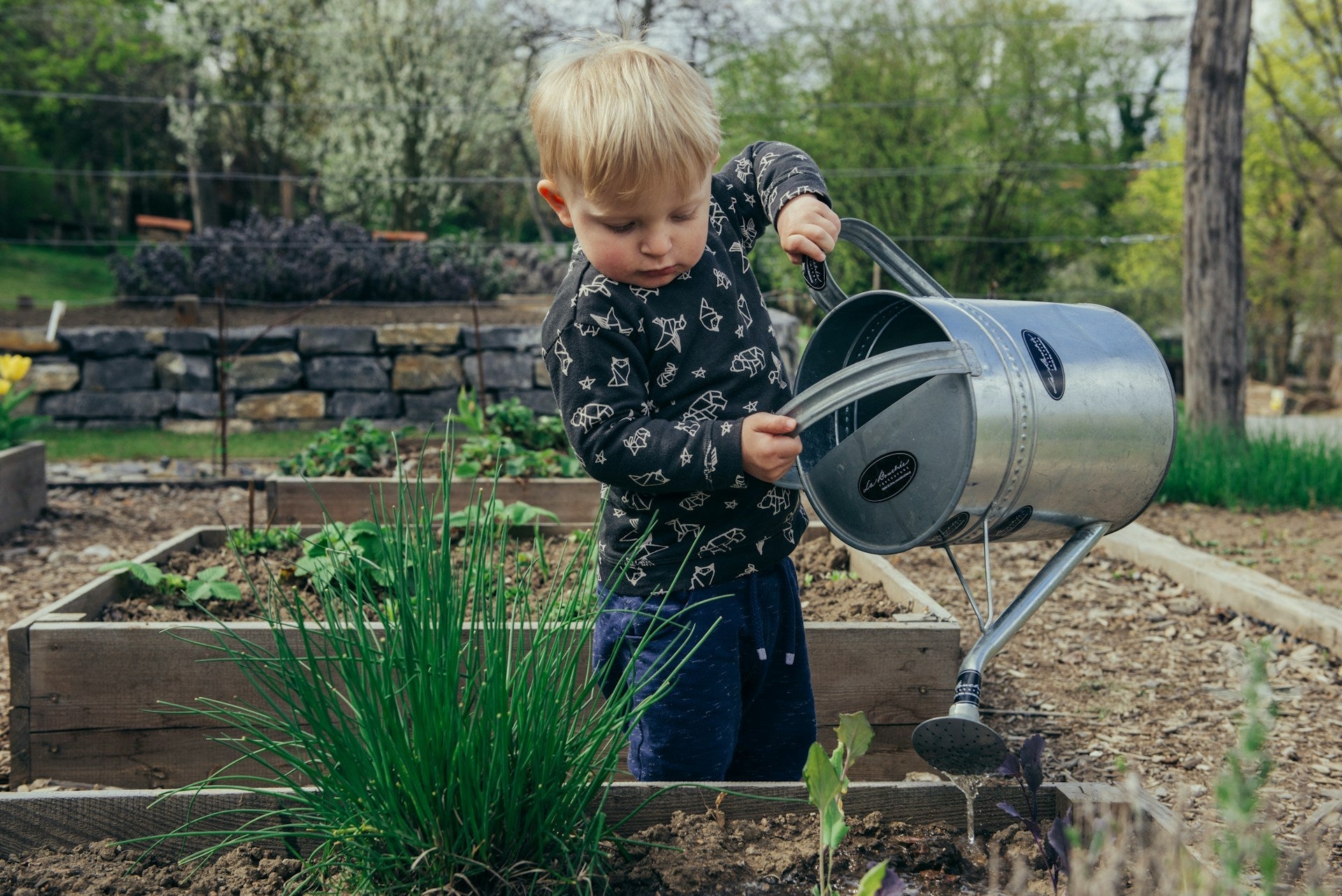 Cultivating Trust: A Guide to Organic Certification in Agriculture