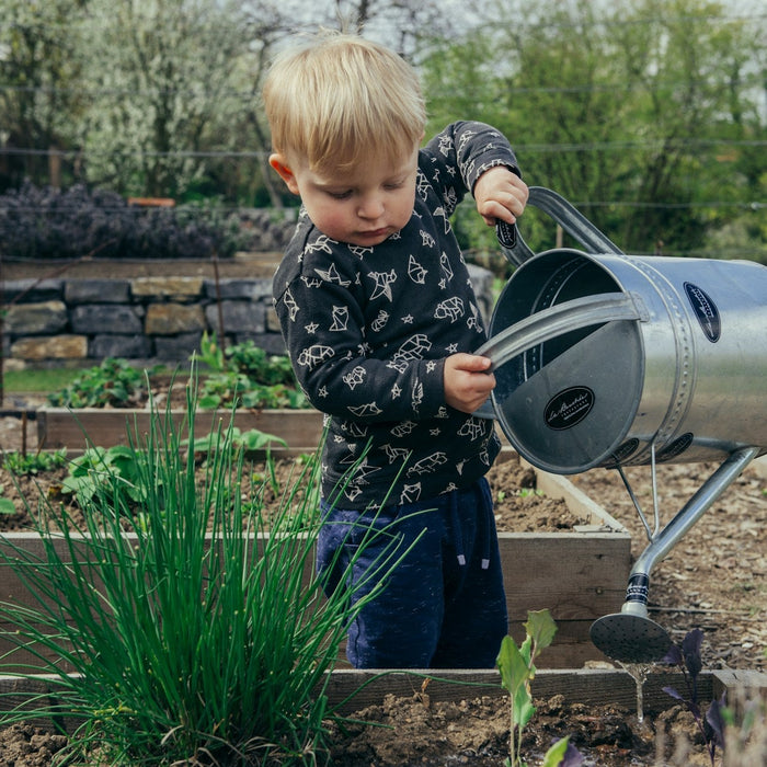 Cultivating Trust: A Guide to Organic Certification in Agriculture