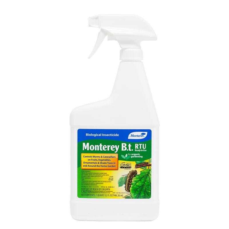 Garden Pest Profile: Managing Destructive Caterpillars Organically July 30, 2026