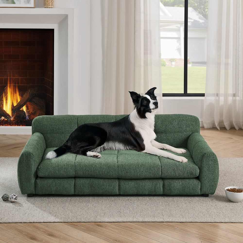 Pet Supplies and Accessories