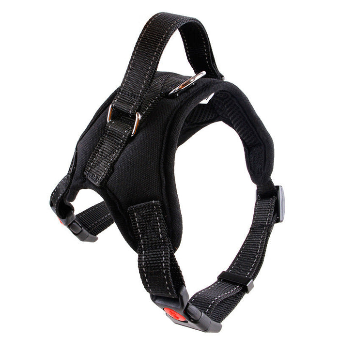 Dog Harnesses 4 Sizes Plus Leads