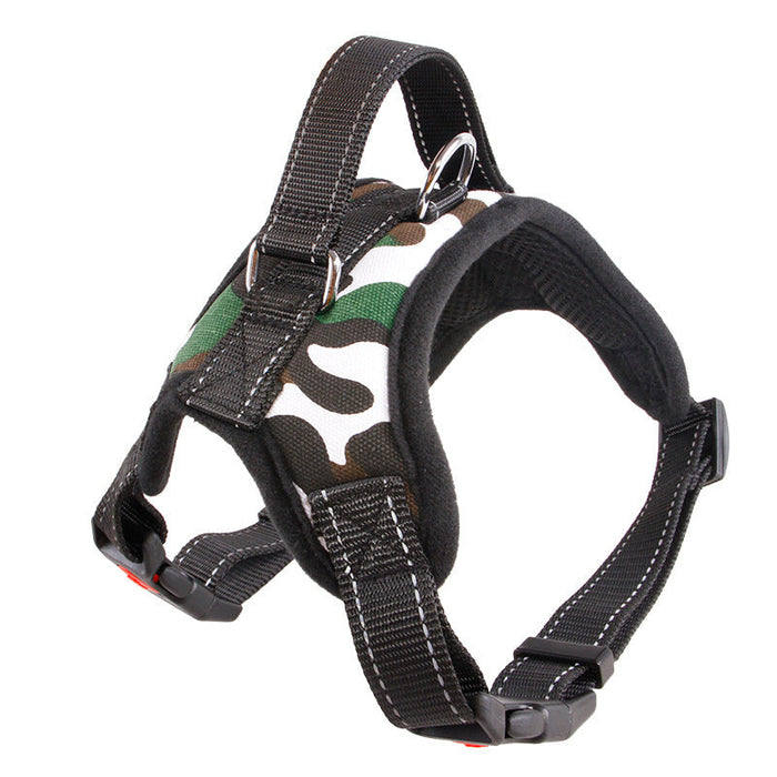 Dog Harnesses 4 Sizes Plus Leads