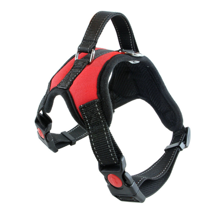 Dog Harnesses 4 Sizes Plus Leads