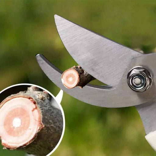 2-piece garden pruning shears set with sharp stainless steel blades and ergonomic handles