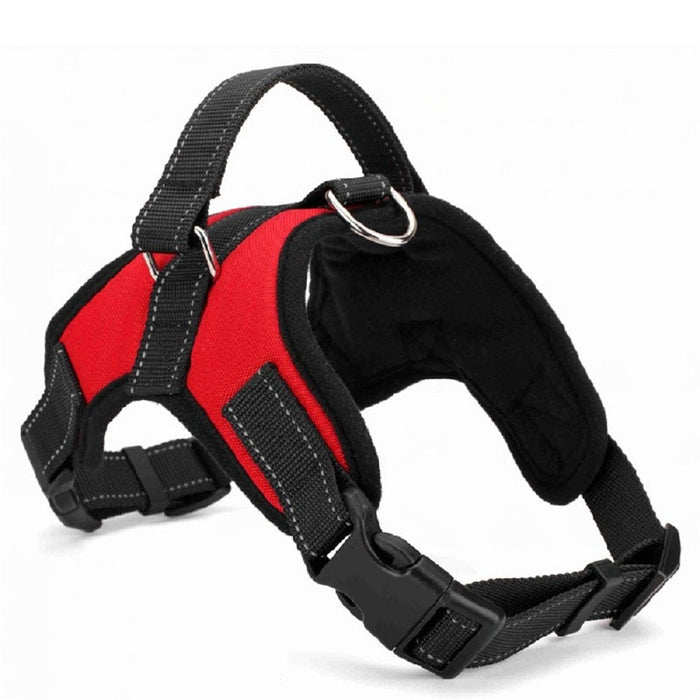 Dog Harnesses 4 Sizes Plus Leads