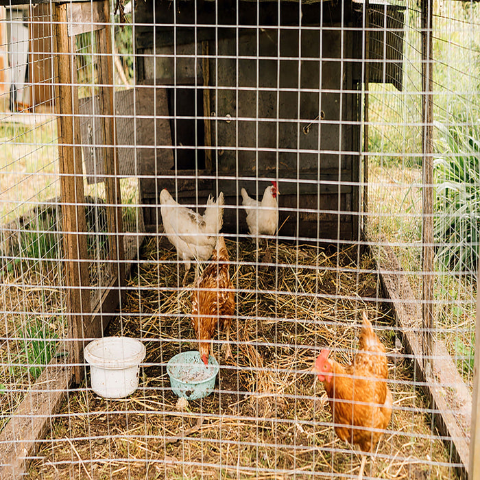 Galvanized Hardware Cloth, Chicken Wire Fence Roll For Garden And Animal Enclosures - Silver
