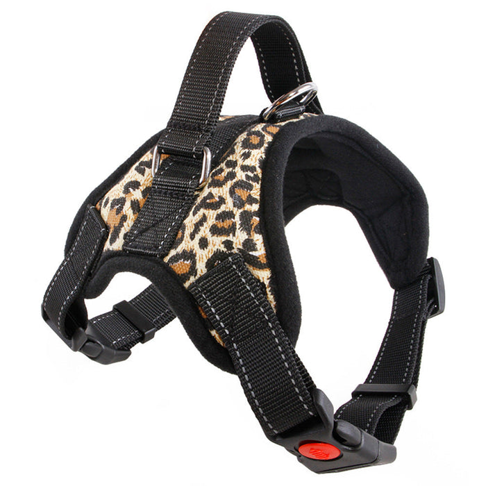 Dog Harnesses 4 Sizes Plus Leads