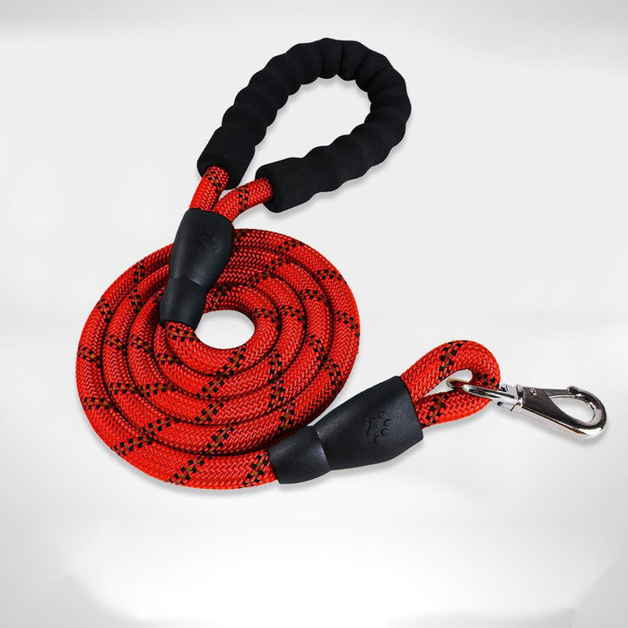 Dog Harnesses 4 Sizes Plus Leads