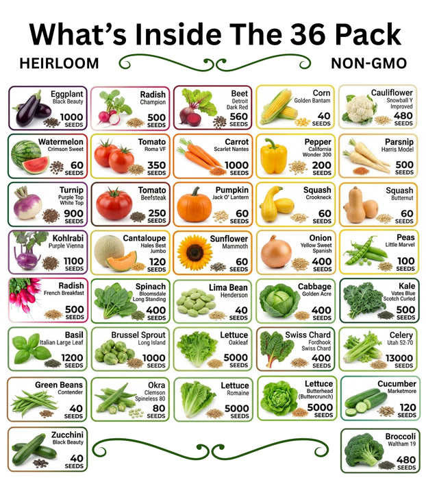 20-50 Varieties - Heirloom Vegetable & Herb Seed Vaults – USA Grown, Non-GMO - 10,000-50,000 Seeds