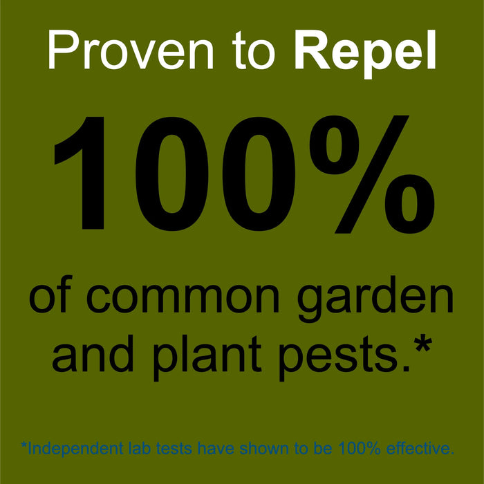 Plant and Garden Pest Control Spray - 32 oz | Plant Based Natural Non-Toxic |