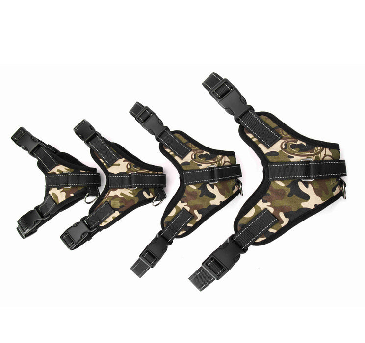 Dog Harnesses 4 Sizes Plus Leads
