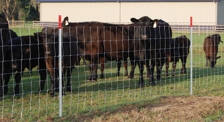 Farm Fence 5ft x 328ft 14-Gauge Galvanized Wire Fencing