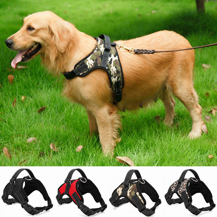 Dog Harnesses 4 Sizes Plus Leads