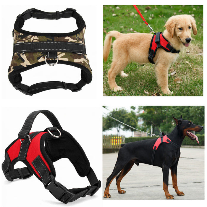 Dog Harnesses 4 Sizes Plus Leads