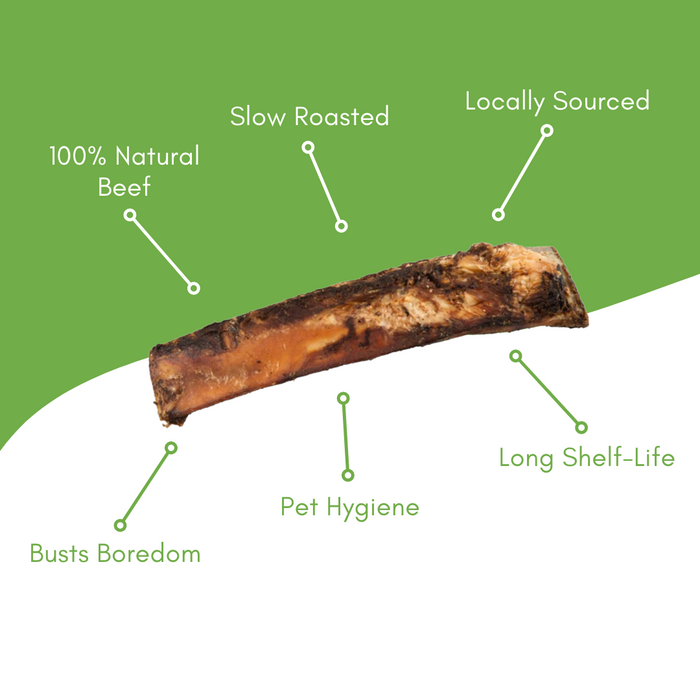 6″ Beef Rib Bone Dog Chews