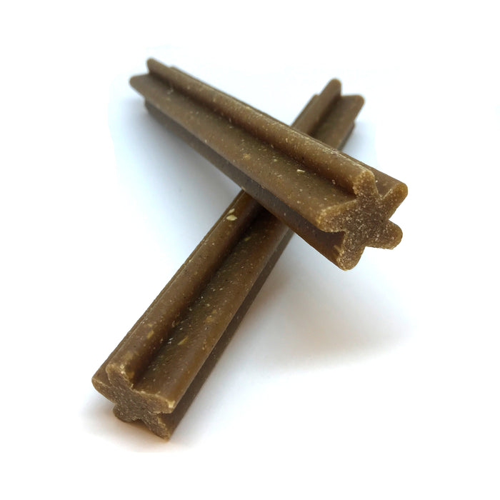 Coconut Blueberry Gourmet Chew Stick for Dogs – Single
