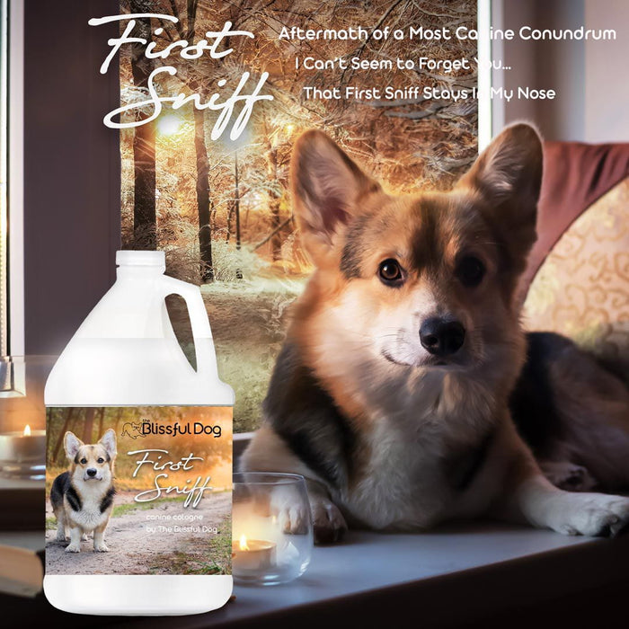 First Sniff Dog Cologne - Your First Sniff Stays on My Mind