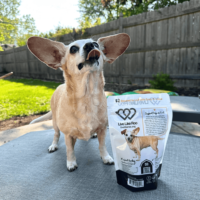 Live Like Roo Turkey Chips for Dogs | Dog Treats That Give Back