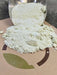 Cucumber Fertilizer 8-16-36 water-soluble for hydroponics, soil, and foliar application promoting healthy vine crop growth