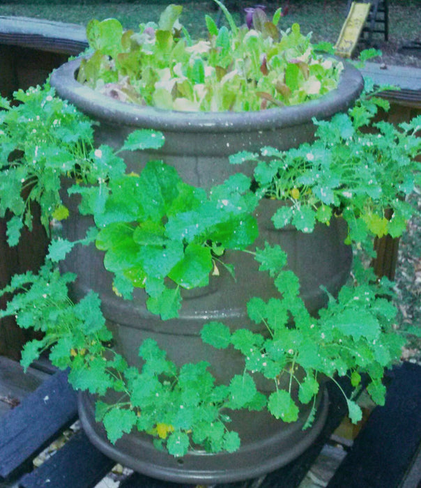 22-Pocket Vertical Patio Planter with Center Watering Tube "Chocolate Brown"