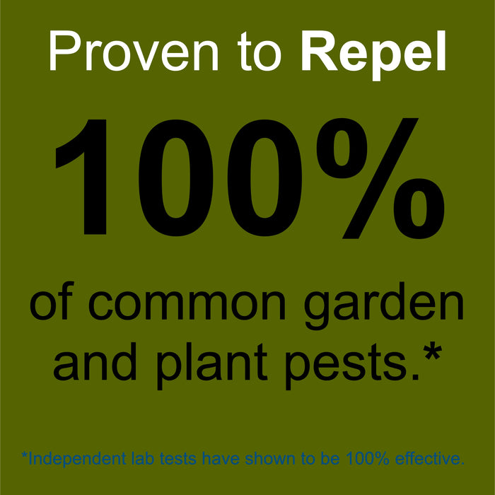 Plant and Garden Pest Control Spray - 32 oz | Plant Based Natural Non-Toxic | Premo Guard (C)