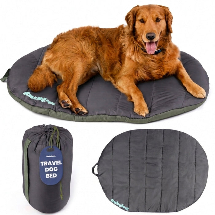 Travel Dog Bed - Foldable & Packable for Travel