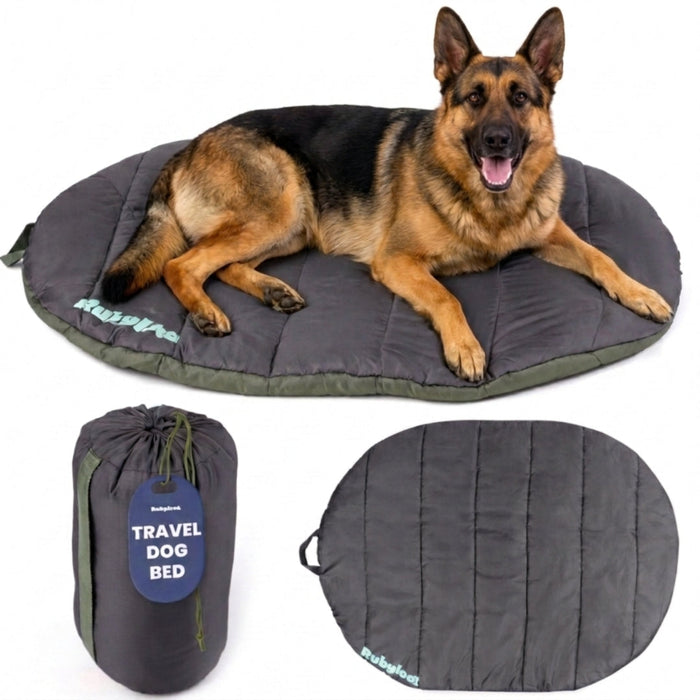 Travel Dog Bed - Foldable & Packable for Travel