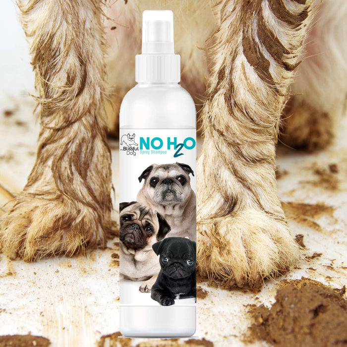 No H2O Spray Pet Shampoo — Clean Dog in 60 Seconds
