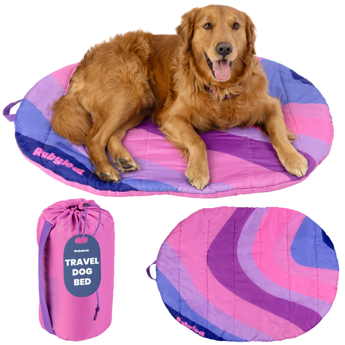 Travel Dog Bed - Foldable & Packable for Travel