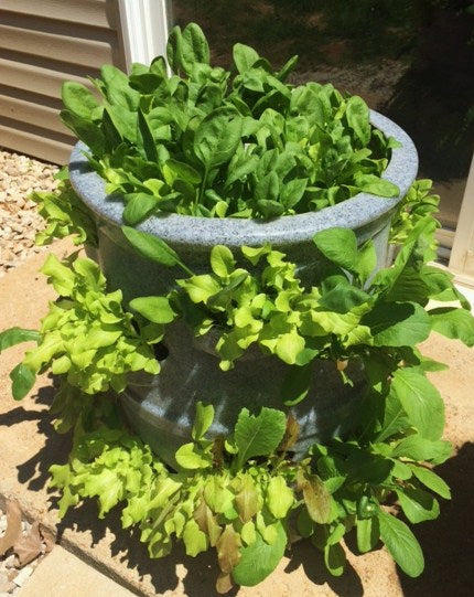 22-Pocket Vertical Patio Planter with Rolling Dolly Cart Combo
