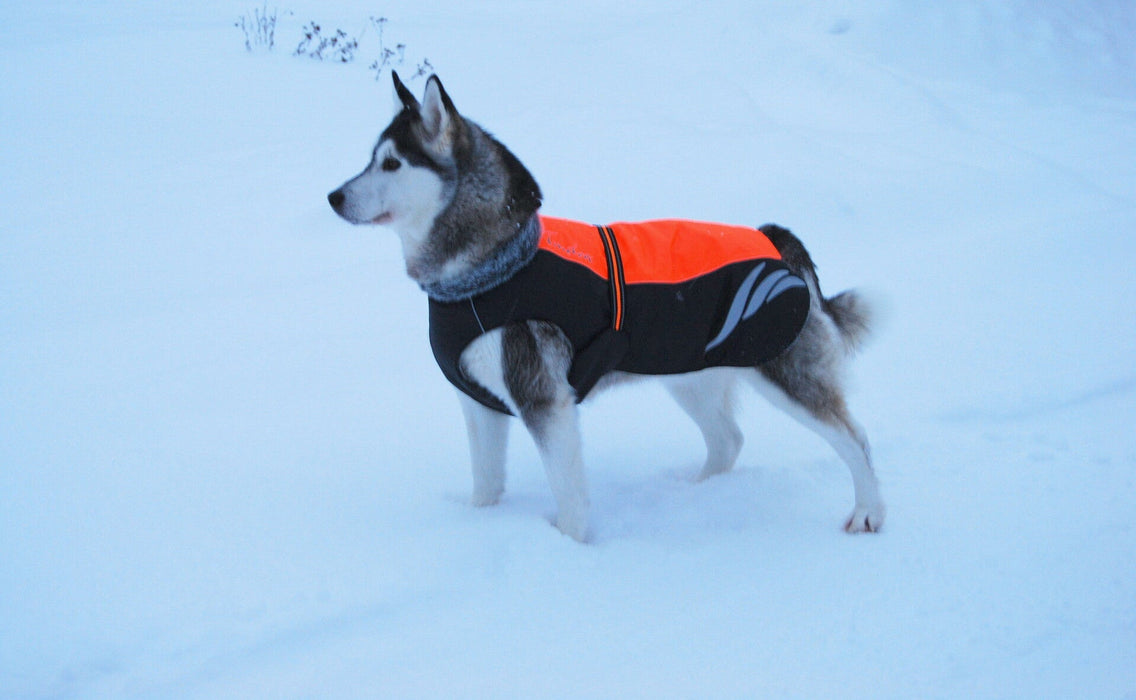 TrueLove Mt. Tallac Winter Dog Coat - Waterproof with 3M Scotchlite Reflective