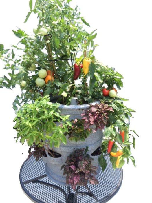 22-Pocket Vertical Patio Planter with Rolling Dolly Cart Combo