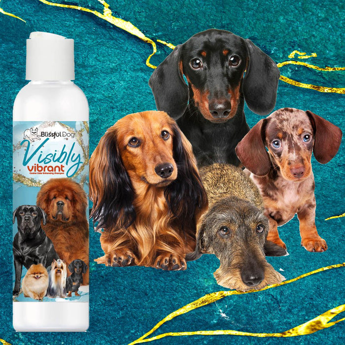 Visibly Vibrant Pet Shampoo