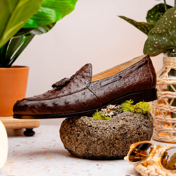 Aubiere Brown Ostrich Tassel Loafers