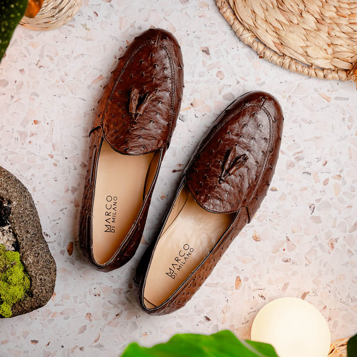 Aubiere Brown Ostrich Tassel Loafers