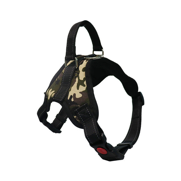 Dog Harnesses 4 Sizes Plus Leads