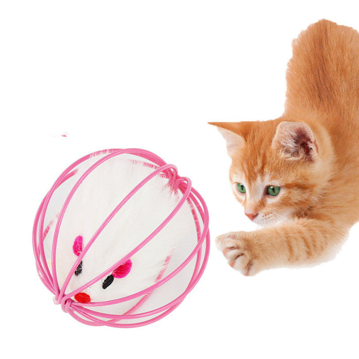Caged Mouse Cat Toy
