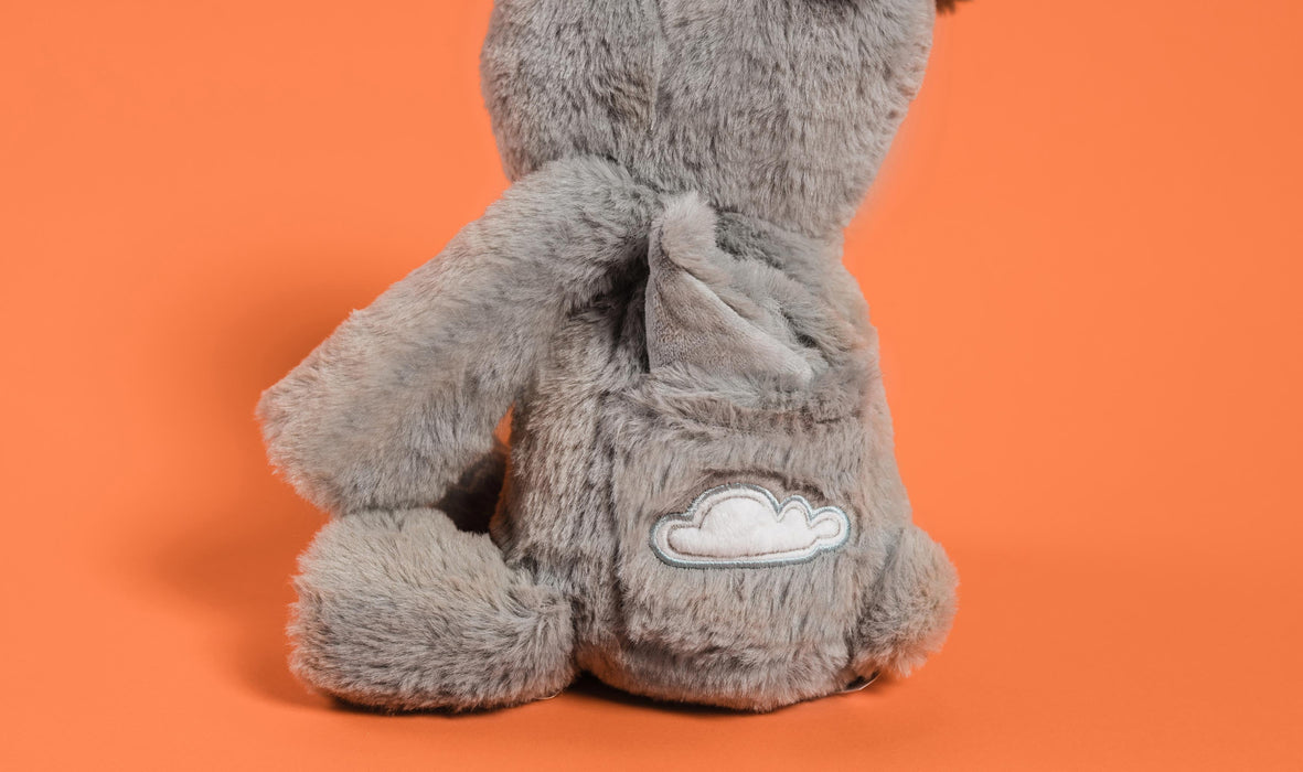 Frankie the Hippo Plush Toy + Book- Gift From The Land