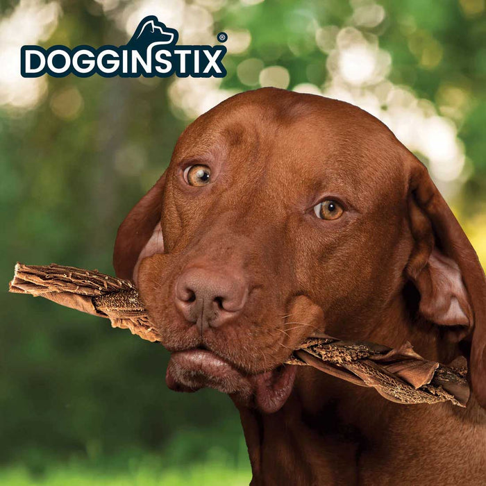 Dogginstix Braided Beef Tripe Natural Dog Chew – Digestible, Nutrient Rich, Omega 3