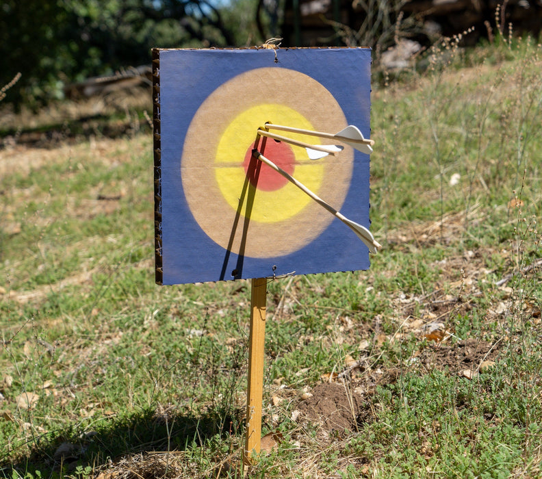 30" Toy Crossbow with Bolts & Quiver