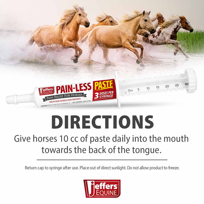 Jeffers Pain-Less Pain Relief Paste for Horses, 3 Dose Syringe