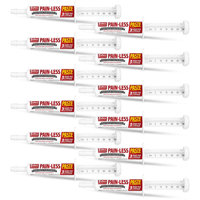 Jeffers Pain-Less Pain Relief Paste for Horses, 3 Dose Syringe