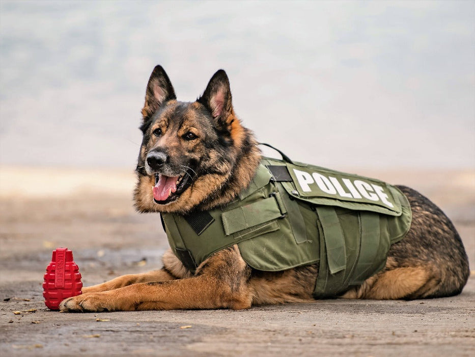USA-K9 Grenade Shaped Dispenser Durable Dog Chew Toy & Treat Dispenser - Army Green