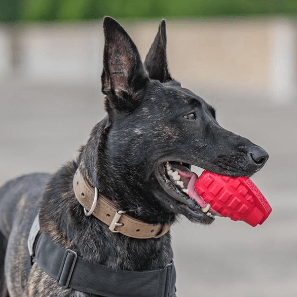 USA-K9 Grenade Shaped Dispenser Durable Dog Chew Toy & Treat Dispenser - Army Green